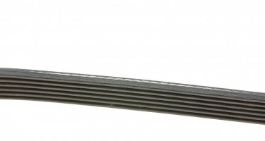 Ремінь приводний 6PK1217 DAYCO – (6 ребер)Довжина: 1217 мм фото 2