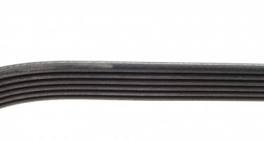 Ремінь приводний 6PK1335 DAYCO – (6 ребер)Довжина: 1335 мм фото 3