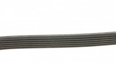 Ремінь приводний 6PK1900 DAYCO – (6 ребер)Довжина: 1900 мм фото 2