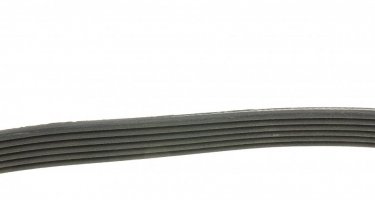 Ремінь приводний 6PK780 DAYCO – (6 ребер)Довжина: 780 мм фото 3
