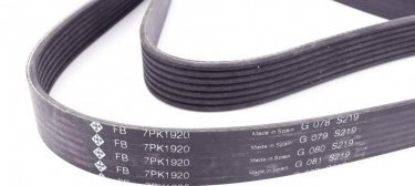 Ремінь приводний FB 7PK1920 INA – (7 ребер)Довжина: 1920 мм фото 4