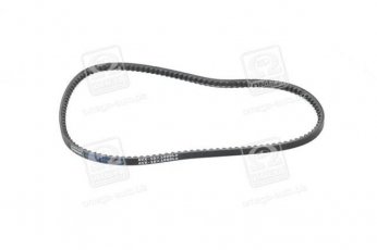 Купити 10X1000 Dongil Rubber Belt (DRB) - Ремінь клиновий AVX (виробництво DONGIL)