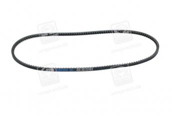Купити 10X1175 Dongil Rubber Belt (DRB) - Ремінь клиновий AVX (виробництво DONGIL)