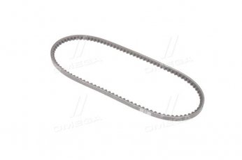 Купити 10X800 Dongil Rubber Belt (DRB) - Ремінь клиновий AVX (виробництво DONGIL)