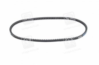 Купити 10X875 Dongil Rubber Belt (DRB) - Ремінь клиновий AVX (виробництво DONGIL)