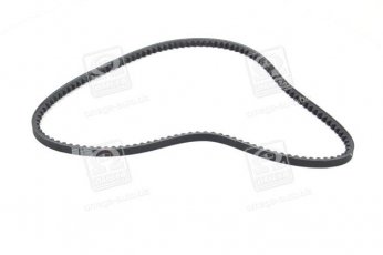 Купити 10X975 Dongil Rubber Belt (DRB) - Ремінь клиновий AVX (виробництво DONGIL)