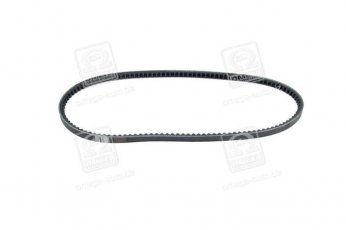Купити 13X1000 Dongil Rubber Belt (DRB) - Ремінь клиновий AVX (виробництво DONGIL)