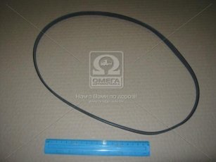 Ремінь поликлин. (виробництво DONGIL) 3PK1010 Dongil Rubber Belt (DRB) –  фото 2