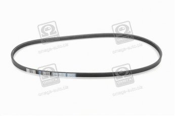 Купити 3PK865 Dongil Rubber Belt (DRB) - Ремінь поликлин.  (виробництво DONGIL)