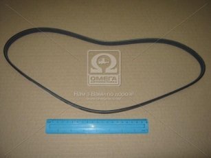 Ремінь поликлин. (виробництво DONGIL) 4PK1020 Dongil Rubber Belt (DRB) –  фото 2