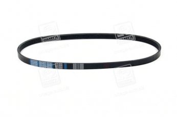 Ремень поликлин. (производство DONGIL) 4PK800 Dongil Rubber Belt (DRB) –  фото 1
