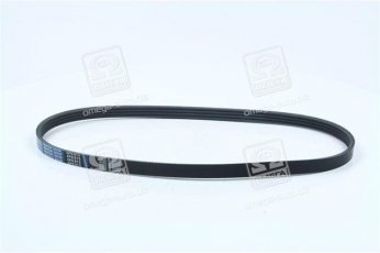 Купити 4PK815 Dongil Rubber Belt (DRB) - Ремінь поликлин.  (виробництво DONGIL)