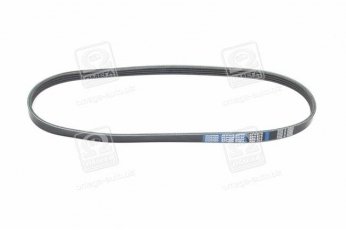 Купити 4PK875 Dongil Rubber Belt (DRB) - Ремінь поликлин.  (виробництво DONGIL)