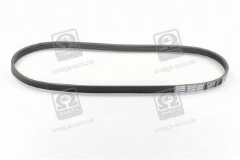 Купити 4PK915 Dongil Rubber Belt (DRB) - Ремінь в коробці поликлин.  (виробництво DONGIL)