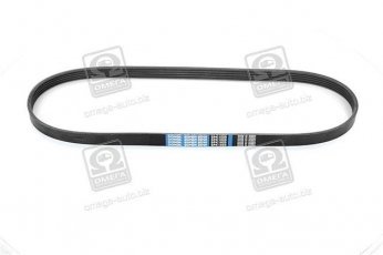 Купити 5PK1025 Dongil Rubber Belt (DRB) - Ремінь в коробці поликлин.  (виробництво DONGIL)