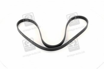 Купити 5PK1250 Dongil Rubber Belt (DRB) - Ремінь поликлин.  (виробництво DONGIL)