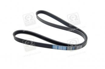Ремінь поликлин. (виробництво DONGIL) 5PK1300 Dongil Rubber Belt (DRB) –  фото 1