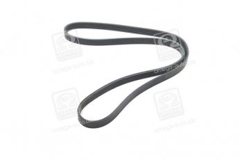 Купити 5PK1393 Dongil Rubber Belt (DRB) - Ремінь поликлин.  (виробництво DONGIL)