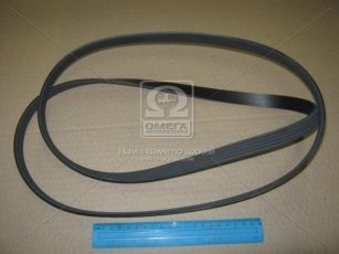 Ремінь поликлин. (виробництво DONGIL) 5PK1811 Dongil Rubber Belt (DRB) –  фото 2