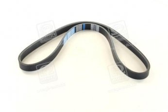 Купити 5PK925 Dongil Rubber Belt (DRB) - Ремінь поликлин.  (виробництво DONGIL)