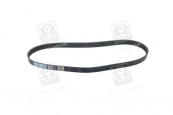 Купити 6PK1015 Dongil Rubber Belt (DRB) - Ремінь поликлин.  (виробництво DONGIL)