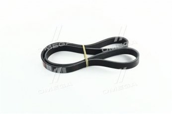 Купити 6PK1035 Dongil Rubber Belt (DRB) - Ремінь поликлин.  (виробництво DONGIL)