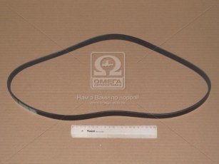 Ремень поликлин. (производство DONGIL) 6PK1195 Dongil Rubber Belt (DRB) –  фото 2