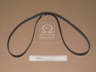 Ремінь поликлин. (виробництво DONGIL) 6PK1555 Dongil Rubber Belt (DRB) –  фото 2