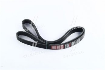 Купити 6PK1590 Dongil Rubber Belt (DRB) - Ремінь поликлин.  (виробництво DONGIL)