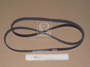 Ремень поликлин. (производство DONGIL) 6PK1810 Dongil Rubber Belt (DRB) –  фото 2