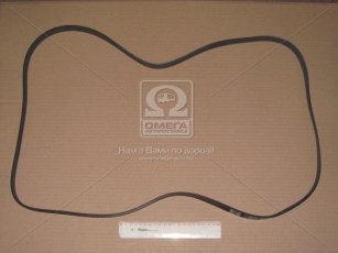 Ремінь поликлин. (виробництво DONGIL) 6PK2005 Dongil Rubber Belt (DRB) –  фото 2