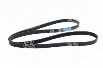 Купити 6PK2020 Dongil Rubber Belt (DRB) - Ремінь в коробці поликлин.  (виробництво DONGIL)