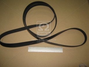 Ремень поликлин. (производство DONGIL) 6PK2584 Dongil Rubber Belt (DRB) –  фото 2