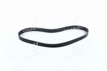Купити 6PK800 Dongil Rubber Belt (DRB) - Ремінь поликлин.  (виробництво DONGIL)