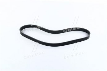 Купити 6PK884 Dongil Rubber Belt (DRB) - Ремінь поликлин.  (виробництво DONGIL)