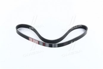 Купити 6PK923 Dongil Rubber Belt (DRB) - Ремінь поликлин.  (виробництво DONGIL)