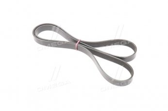 Купити 7PK1795 Dongil Rubber Belt (DRB) - Ремінь поликлин.  (виробництво DONGIL)