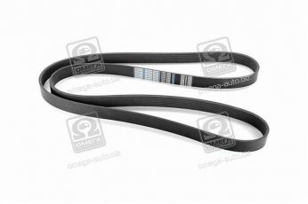 Купити 7PK1920 Dongil Rubber Belt (DRB) - Ремінь поликлин.  (виробництво DONGIL)